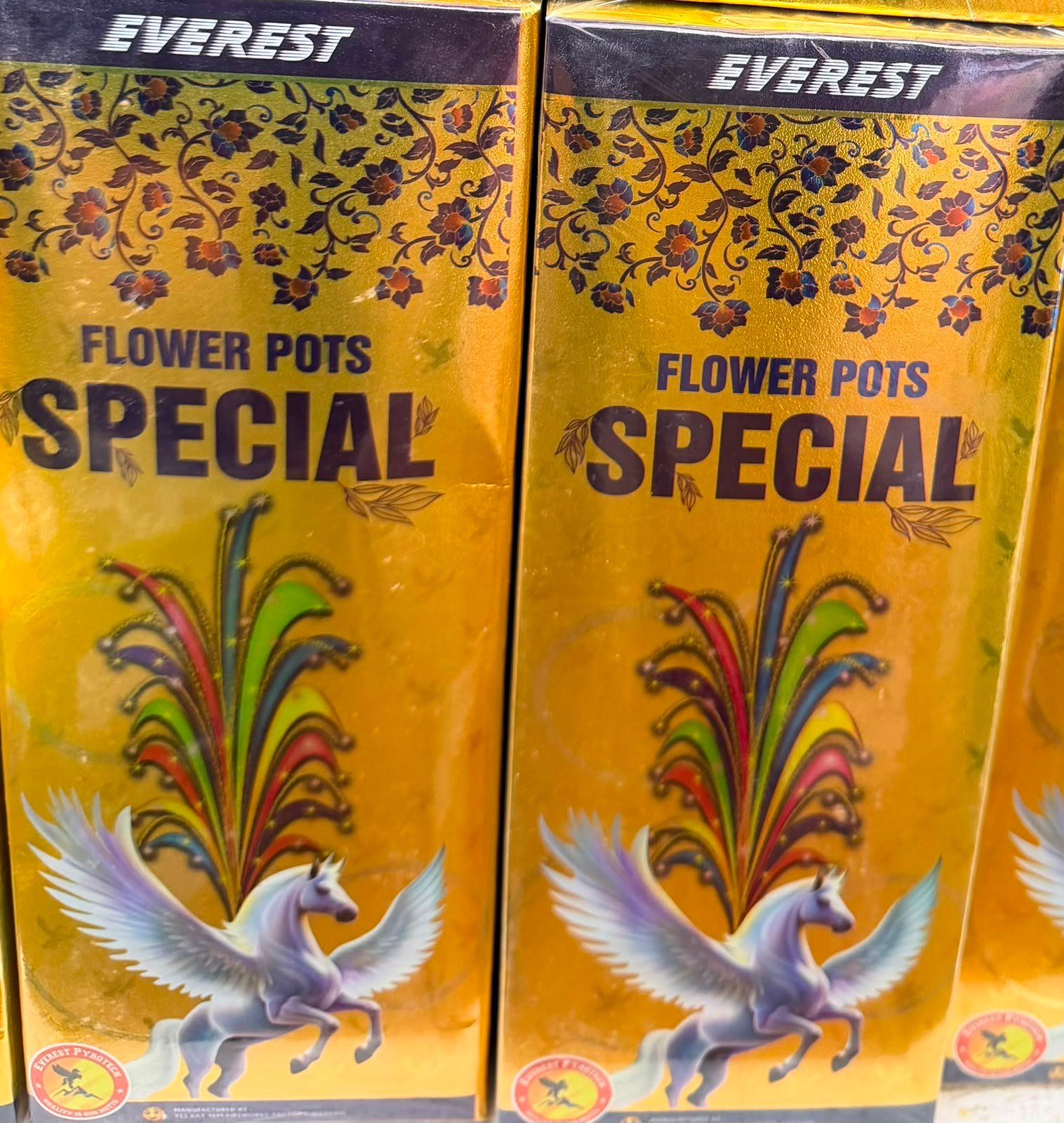 FLOWER POTS SPECIAL (EVEREST)